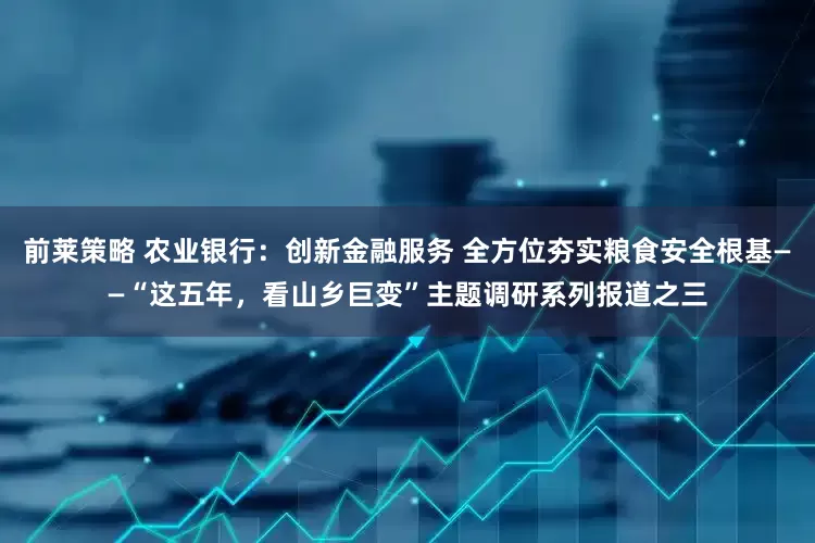 前莱策略 农业银行：创新金融服务 全方位夯实粮食安全根基——“这五年，看山乡巨变”主题调研系列报道之三